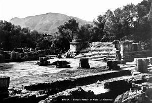TIPAZA - NOUVEAU TEMPLE ET MONTS DE CHENOUA
